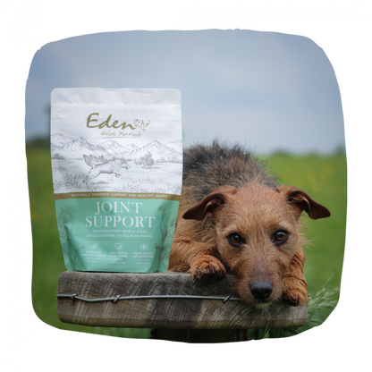 Eden Joint Support 250g